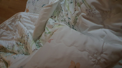 이미지를 찾을 수 없습니다.