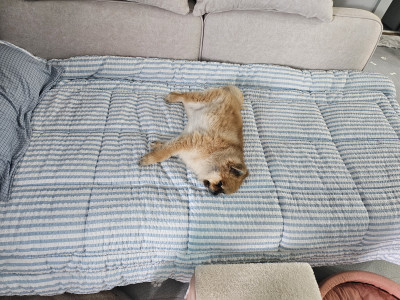 이미지를 찾을 수 없습니다.