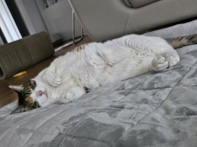 이미지를 찾을 수 없습니다.