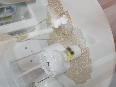 이미지를 찾을 수 없습니다.