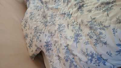 이미지를 찾을 수 없습니다.