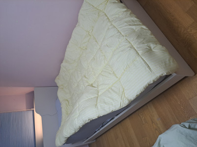 이미지를 찾을 수 없습니다.