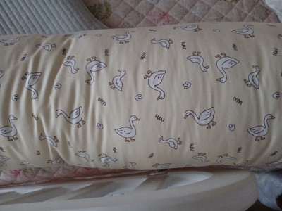 이미지를 찾을 수 없습니다.