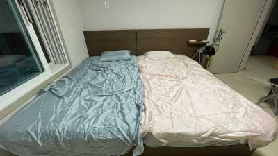 이미지를 찾을 수 없습니다.