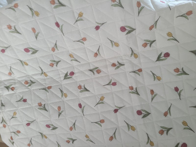 이미지를 찾을 수 없습니다.