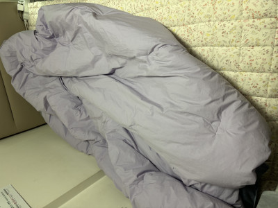 이미지를 찾을 수 없습니다.