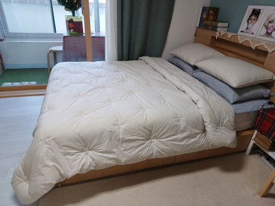 이미지를 찾을 수 없습니다.