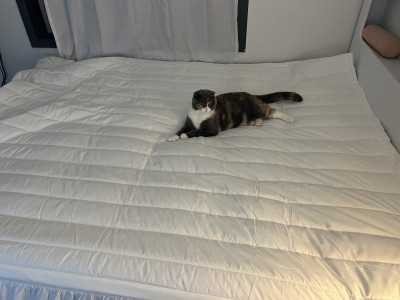 이미지를 찾을 수 없습니다.