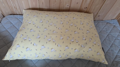 이미지를 찾을 수 없습니다.