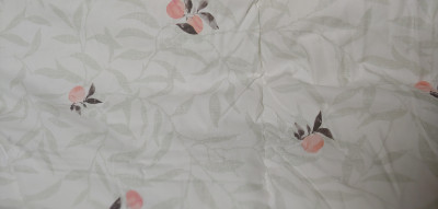 이미지를 찾을 수 없습니다.