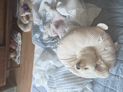 이미지를 찾을 수 없습니다.