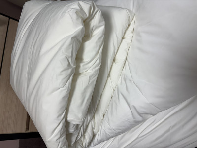 이미지를 찾을 수 없습니다.