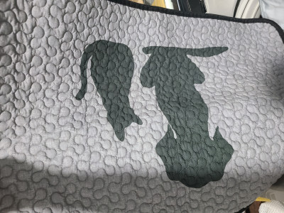 이미지를 찾을 수 없습니다.