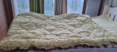 이미지를 찾을 수 없습니다.