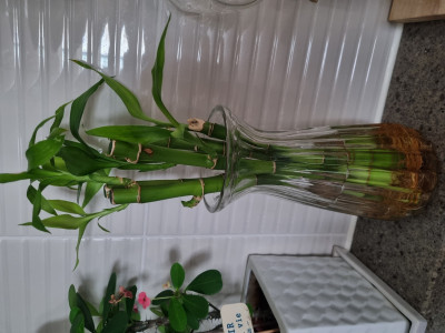 이미지를 찾을 수 없습니다.