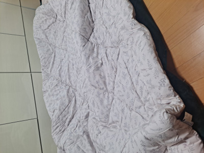 이미지를 찾을 수 없습니다.