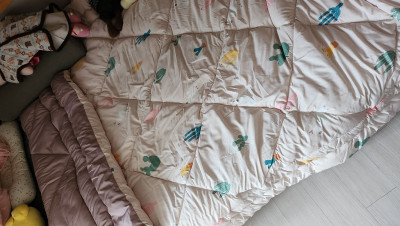 이미지를 찾을 수 없습니다.