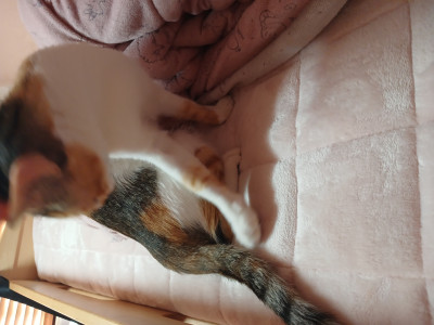 이미지를 찾을 수 없습니다.