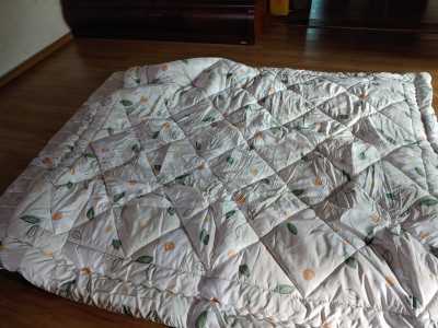 이미지를 찾을 수 없습니다.