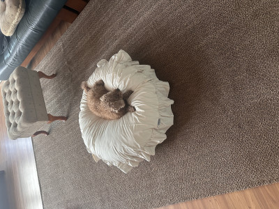 이미지를 찾을 수 없습니다.