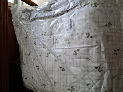 이미지를 찾을 수 없습니다.