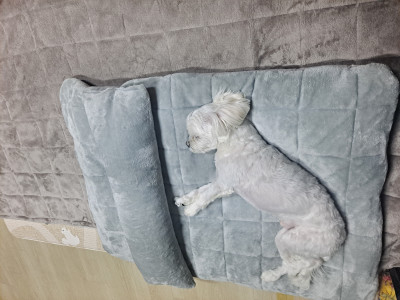 이미지를 찾을 수 없습니다.