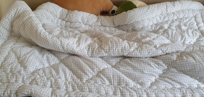 이미지를 찾을 수 없습니다.