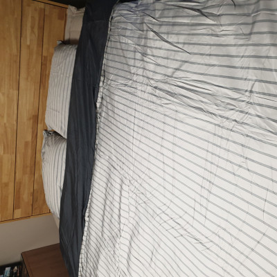 이미지를 찾을 수 없습니다.