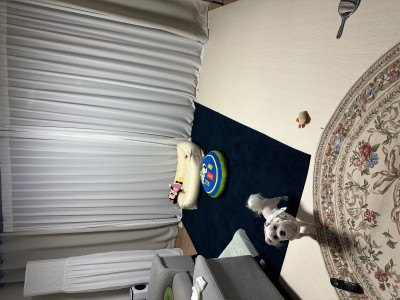 이미지를 찾을 수 없습니다.