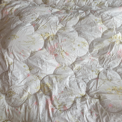 이미지를 찾을 수 없습니다.