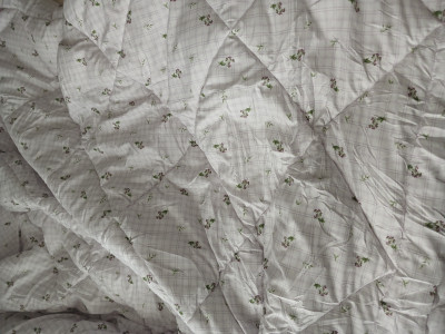 이미지를 찾을 수 없습니다.