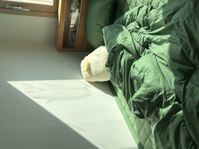 이미지를 찾을 수 없습니다.