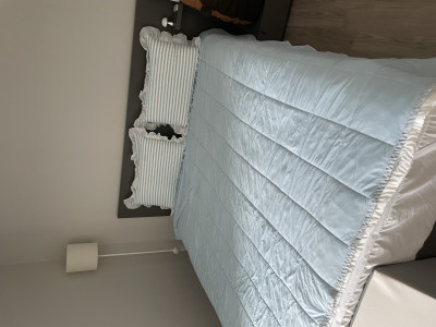 이미지를 찾을 수 없습니다.