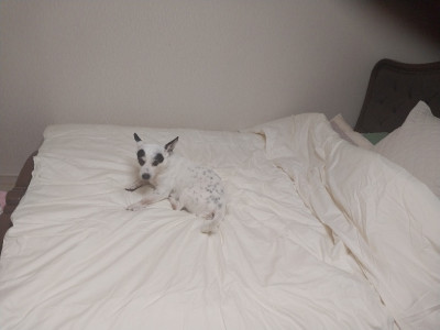 이미지를 찾을 수 없습니다.