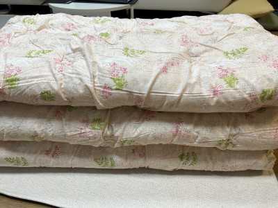 이미지를 찾을 수 없습니다.