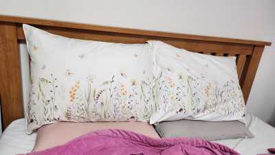 이미지를 찾을 수 없습니다.