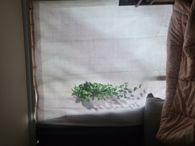 이미지를 찾을 수 없습니다.