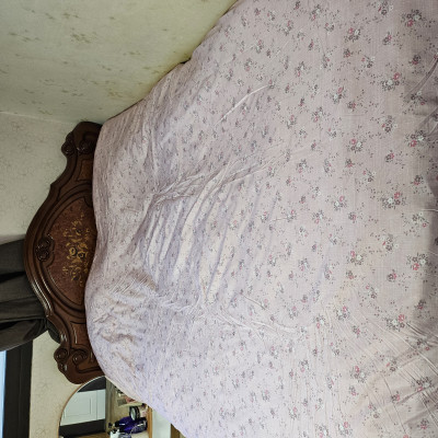 이미지를 찾을 수 없습니다.