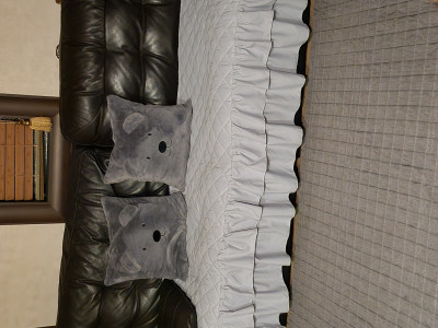 이미지를 찾을 수 없습니다.