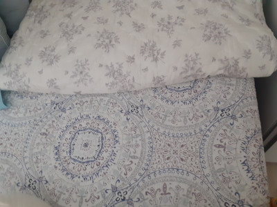 이미지를 찾을 수 없습니다.