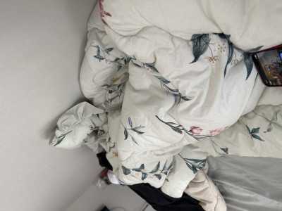 이미지를 찾을 수 없습니다.