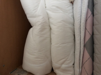 이미지를 찾을 수 없습니다.