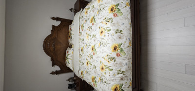 이미지를 찾을 수 없습니다.