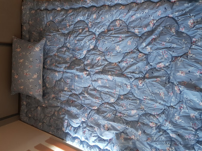 이미지를 찾을 수 없습니다.