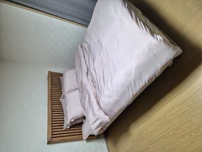 이미지를 찾을 수 없습니다.