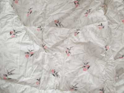 이미지를 찾을 수 없습니다.