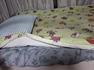 이미지를 찾을 수 없습니다.