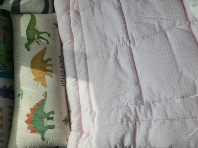 이미지를 찾을 수 없습니다.