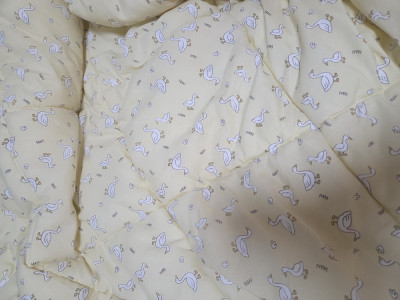 이미지를 찾을 수 없습니다.