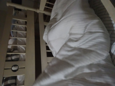 이미지를 찾을 수 없습니다.